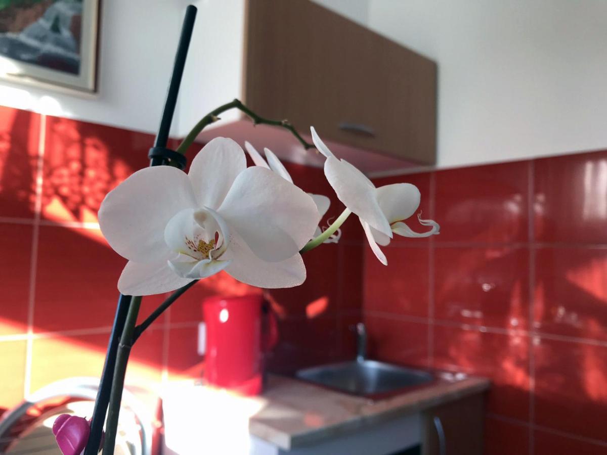 Soba Milica Hotel Palic Luaran gambar